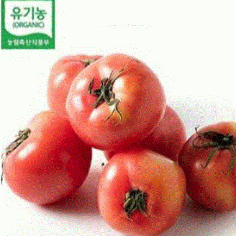 [친환경꾸러미] (담양농협) 친환경 완숙토마토1kg