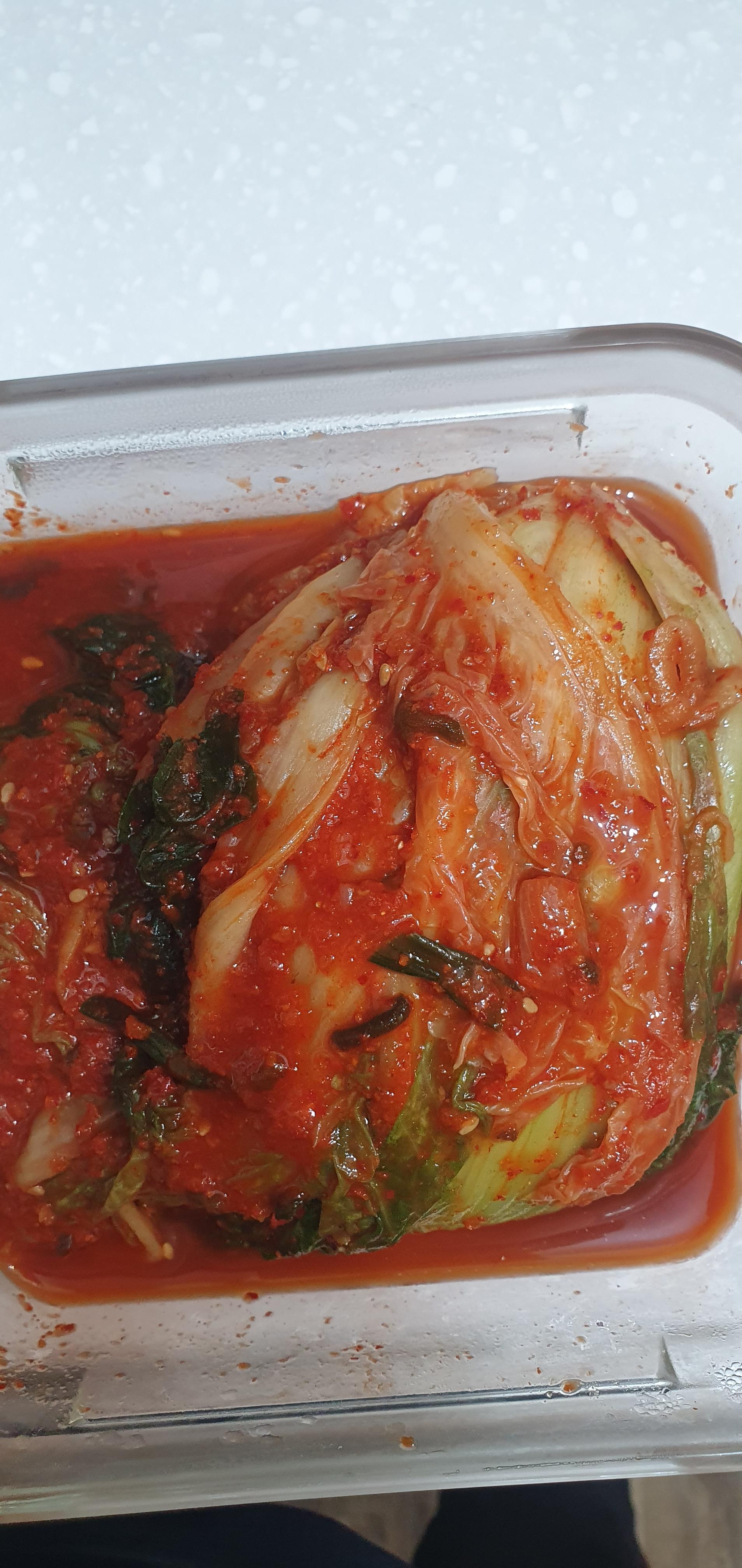 [은빛장터] (궁`s food) 여수 100% 국산 김치 (돌산갓김치/고들빼기김치/배추김치)