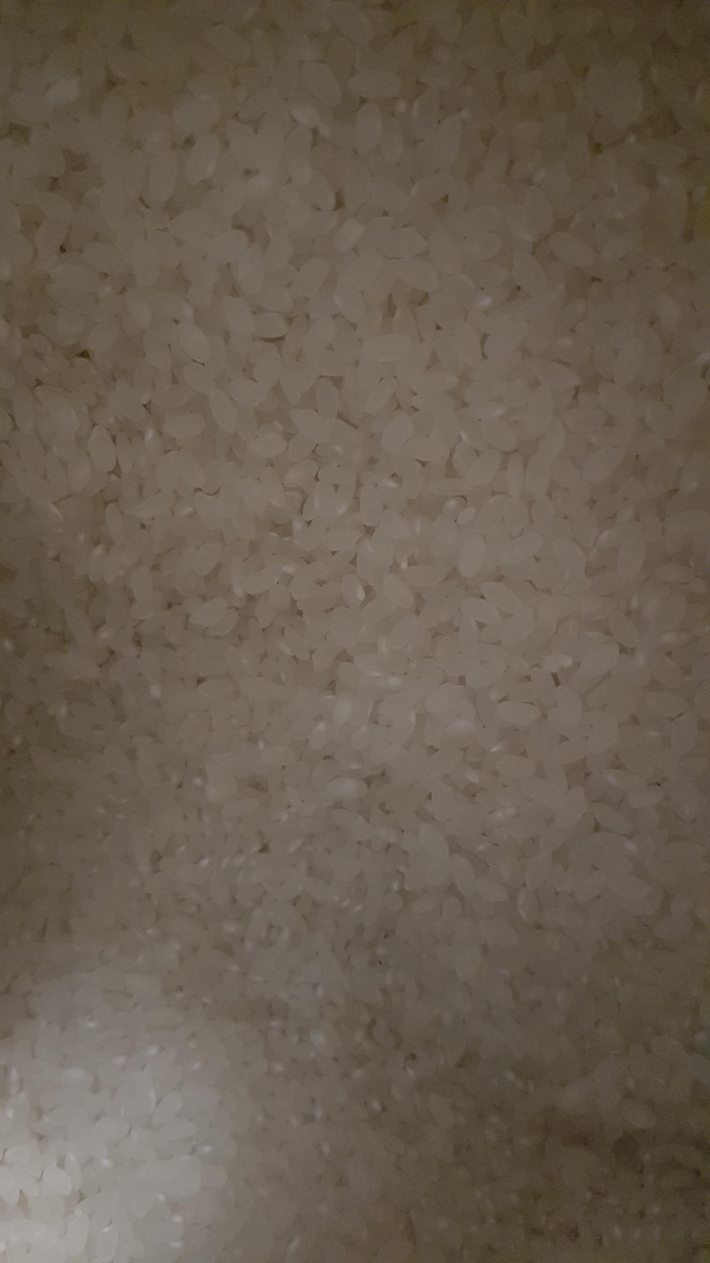 (함평군농협) GAP인증 2023년 쌀 우렁색시미 20kg