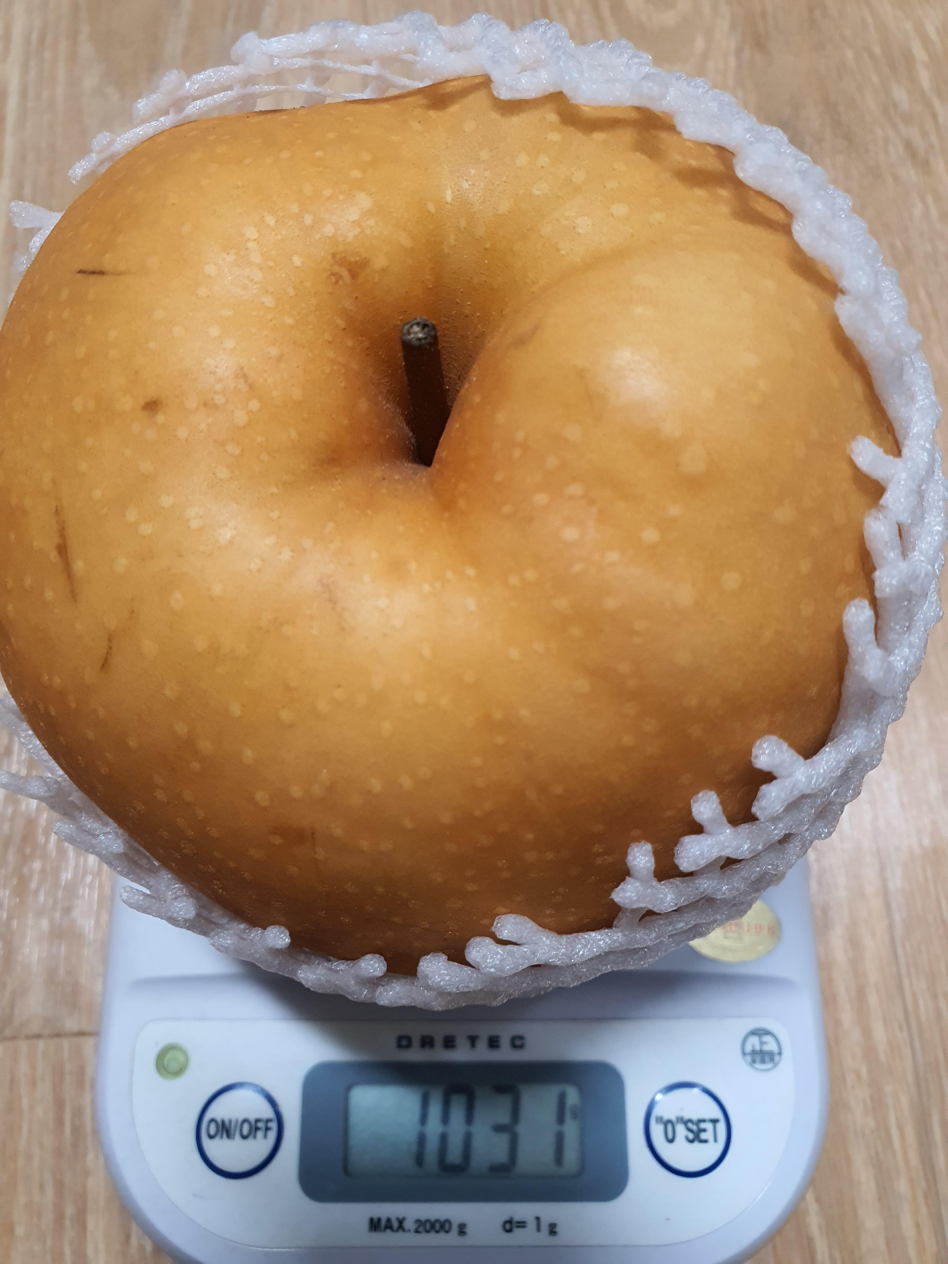 (이룸팜스) 달콤아삭 가정용/특품 나주배 (3kg/5kg/15kg)