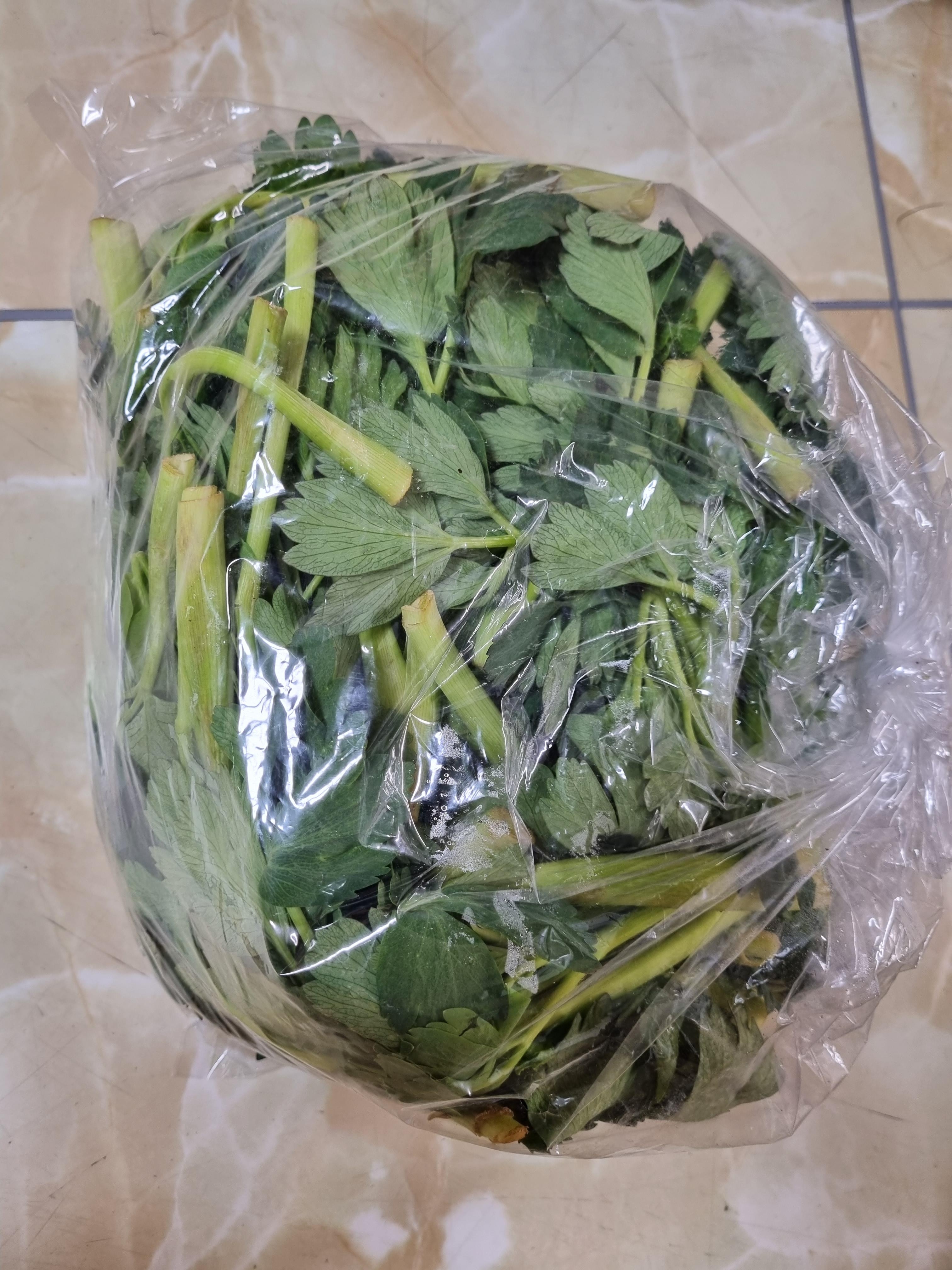 (팜푸드) 향긋한 봄나물 방풍나물 500g/1kg