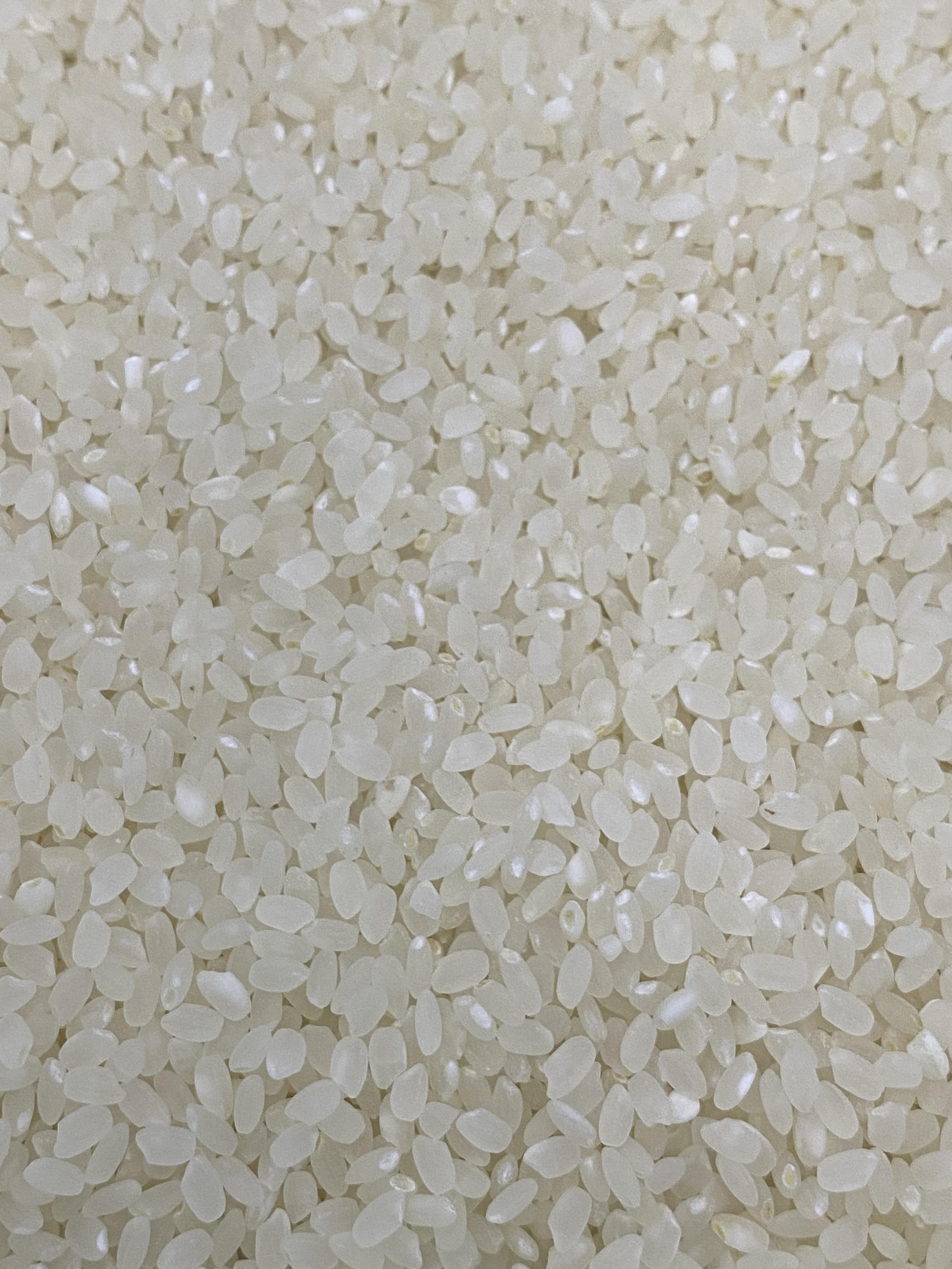 (정남진농협) GAP인증 신선하고 맛있는 23년 쌀 새청무 20kg