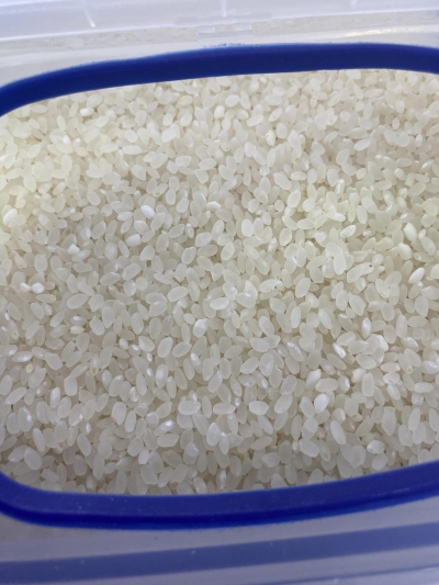 (영광군농협) GAP인증 영광군에서 자란 23년 새청무쌀 20kg