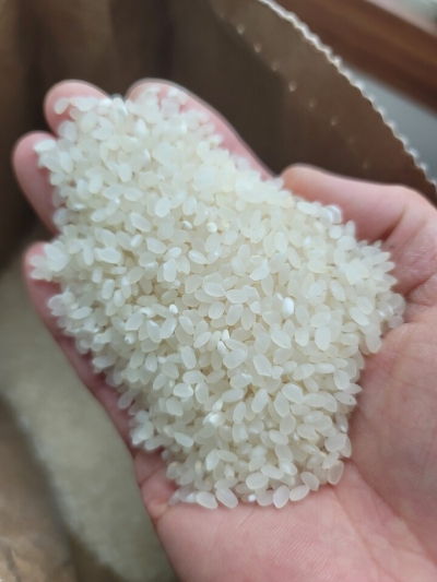 (여주농산) 우리참쌀 신동진 20kg
