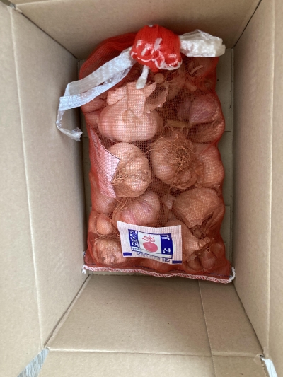 [농식품바우처] (영흥농산) 24년산 황토랑 통마늘 1kg~5kg (알싸한 남도마늘)