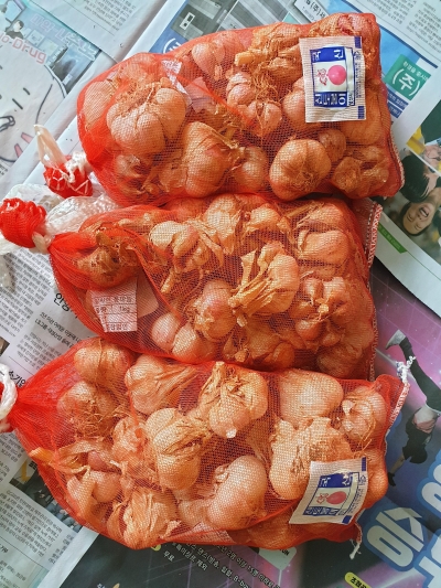 [농식품바우처] (영흥농산) 24년산 황토랑 통마늘 1kg~5kg (알싸한 남도마늘)