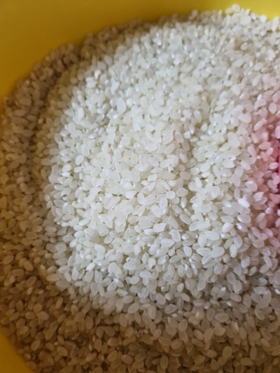 (곡성농협) 23년산 기차마을 신동진쌀 20kg