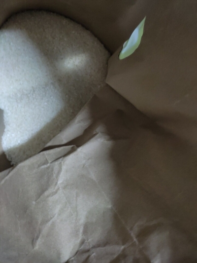 (천사푸드) 장흥 정남진 농협 새청무 하늘연미 상등급 백미 10kg