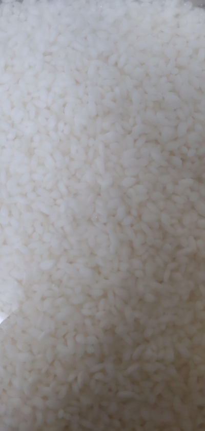 (영암군농협쌀조합) 23년 기운찬신동진쌀 10kg