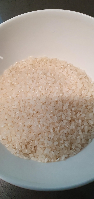 (영암군농협쌀조합) 23년 기운찬신동진쌀 10kg