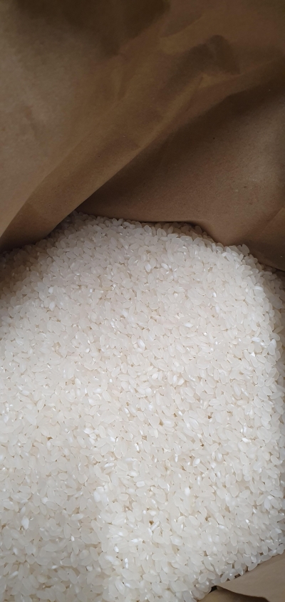 (영광군농협) GAP인증 영광군에서 자란 23년 신동진쌀 10kg