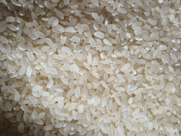(영광군농협) GAP인증 영광군에서 자란 23년 신동진쌀 20kg