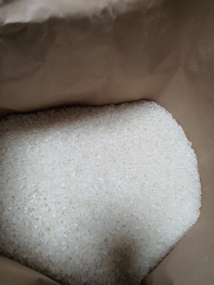 (영광군농협) GAP인증 영광군에서 자란 23년 신동진쌀 20kg