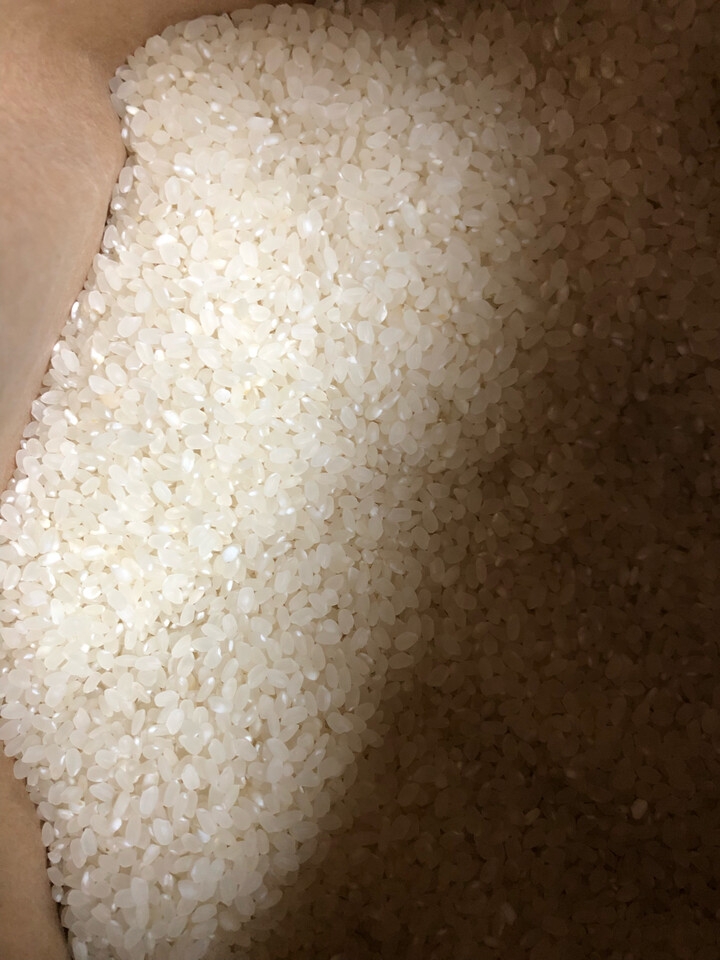 (영암군농협쌀조합) 23년 기운찬신동진쌀 20kg