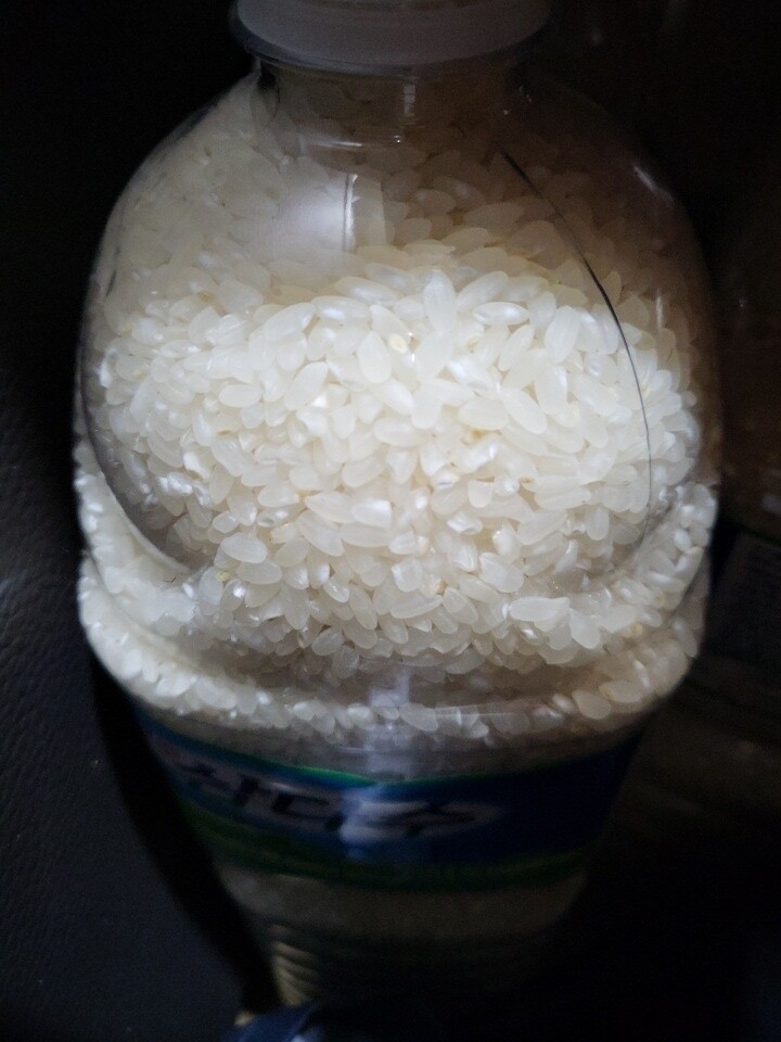(영광군농협) GAP인증 영광군에서 자란 23년 새청무쌀 20kg