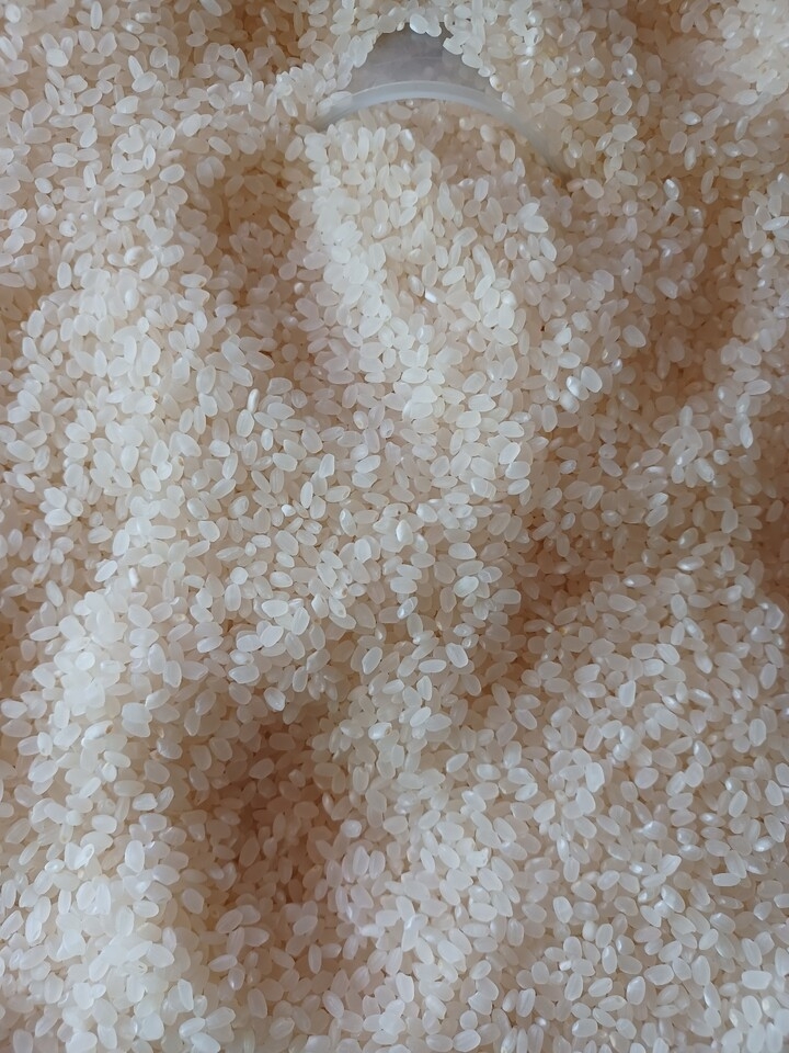 (영암군농협쌀조합) 23년 풍광수토쌀 10kg