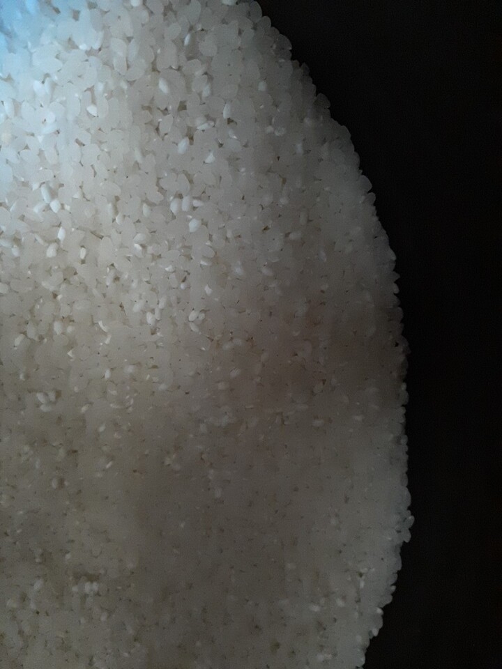 (함평군농협쌀조합) GAP인증 2023년쌀 신동진쌀 10kg