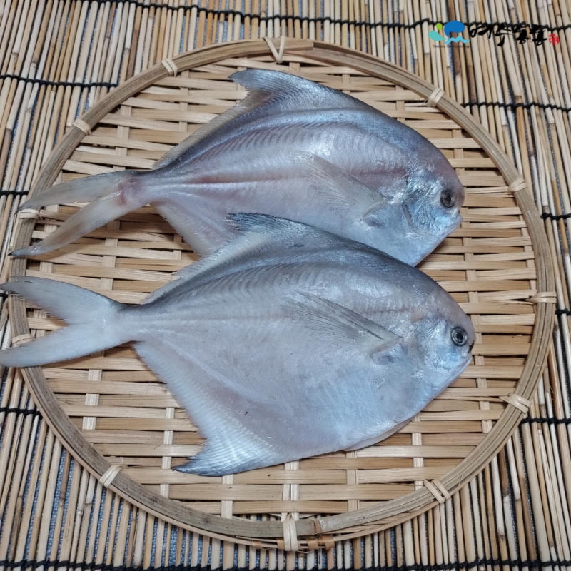 [선물관] (여수동동식품) 제수용 반건조 생선 거문도세트
