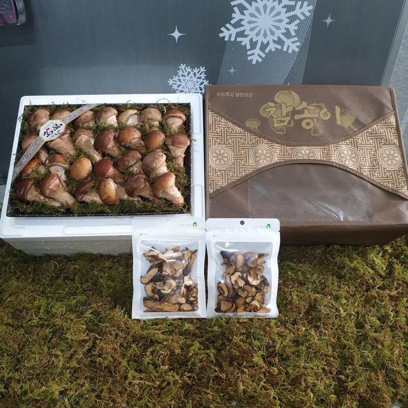 참송이버섯 선물세트 (송이버섯700g+버섯칩)