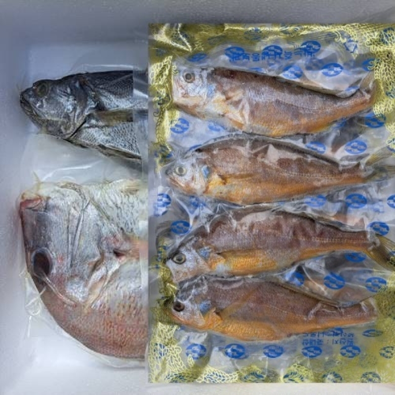 (녹동수산) 국내산 신선한 반건조 생선 선물세트 (참돔+참조기+민어)