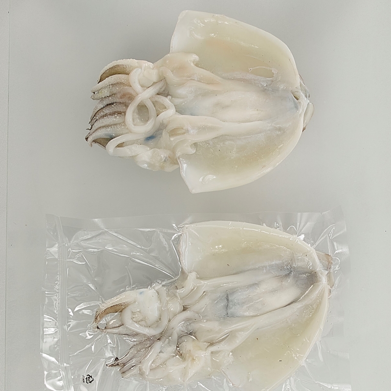 (다산수산) 푸른자연바다 국산 여수 갑오징어 (소~프리미엄)