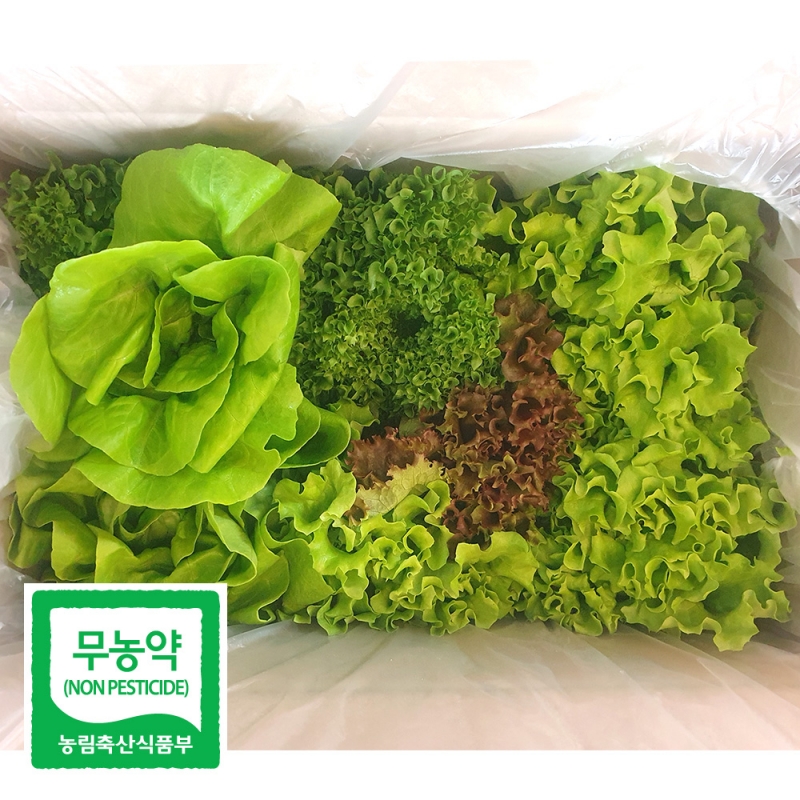 (그린스마일) 무농약 유럽 샐러드 채소 모듬 쌈 야채 깨끗한 수경재배 1kg